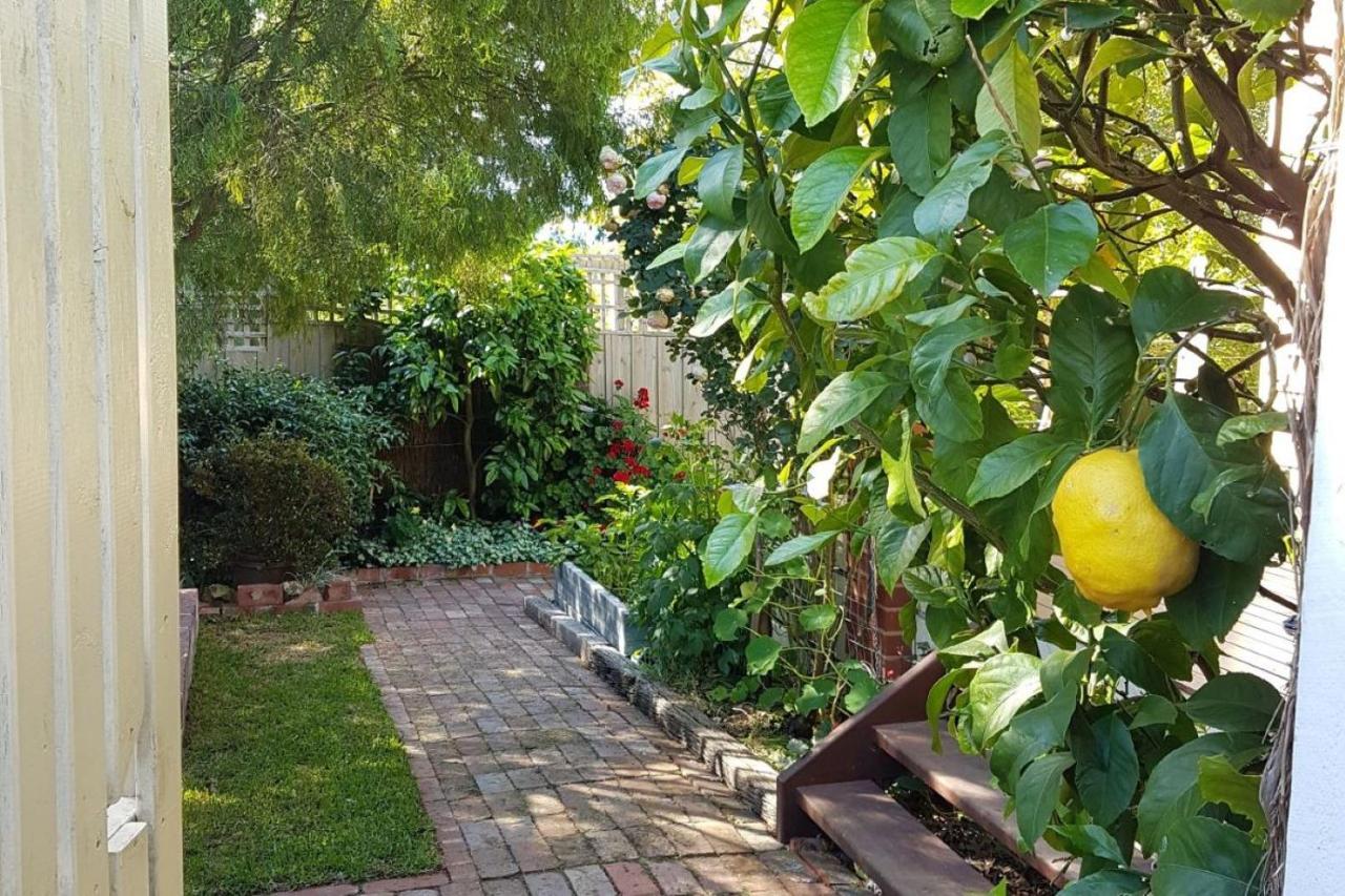 Healesville House - Fig Tree House Екстер'єр фото